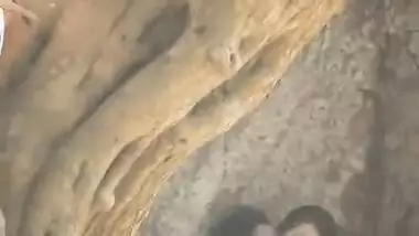Indian love birds caught on